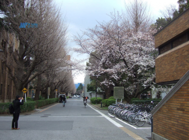 日本东京大学留学申请个人简历写作指南