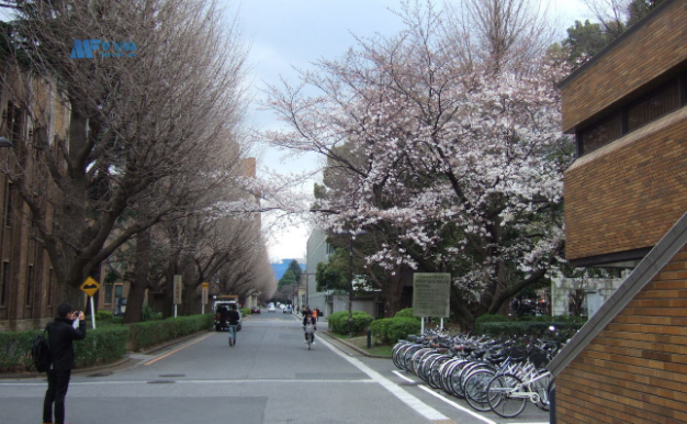 日本东京大学留学申请个人简历写作指南